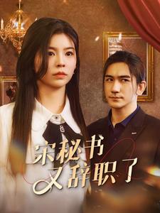 宋秘书又辞职了的海报