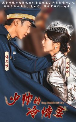 少帅的冷情妻的海报