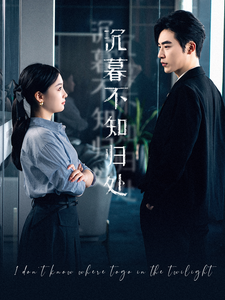 沉暮不知归处的海报