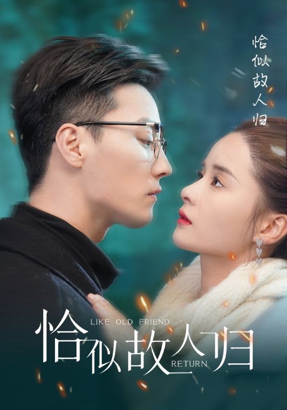 恰似故人归的海报
