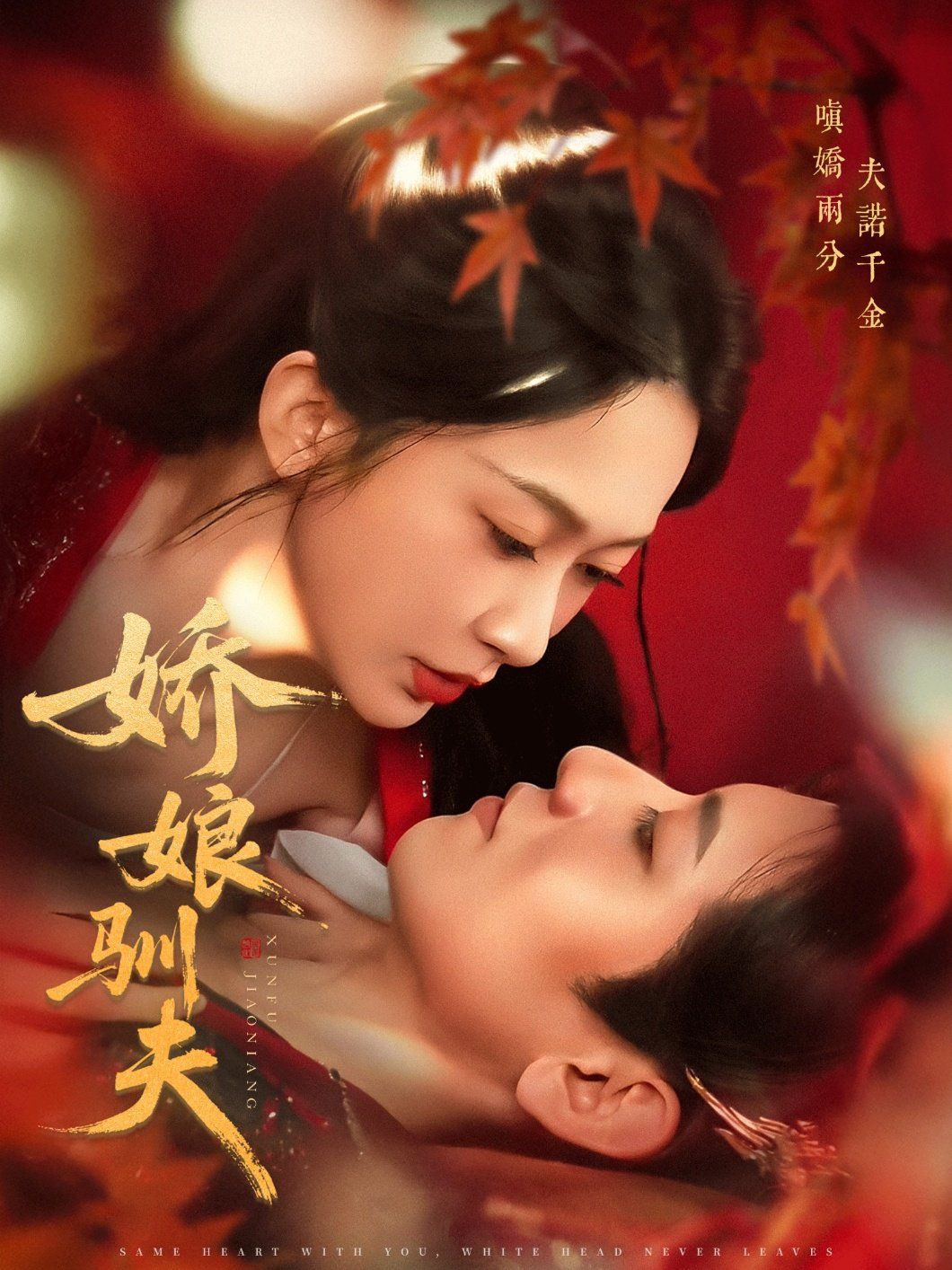 娇娘驯夫的海报