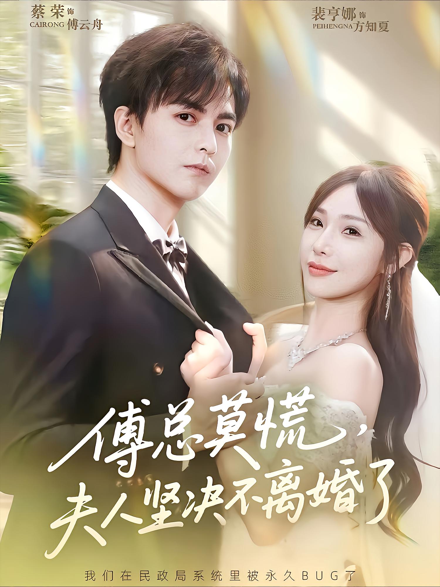 傅总莫慌夫人坚决不离婚了的海报