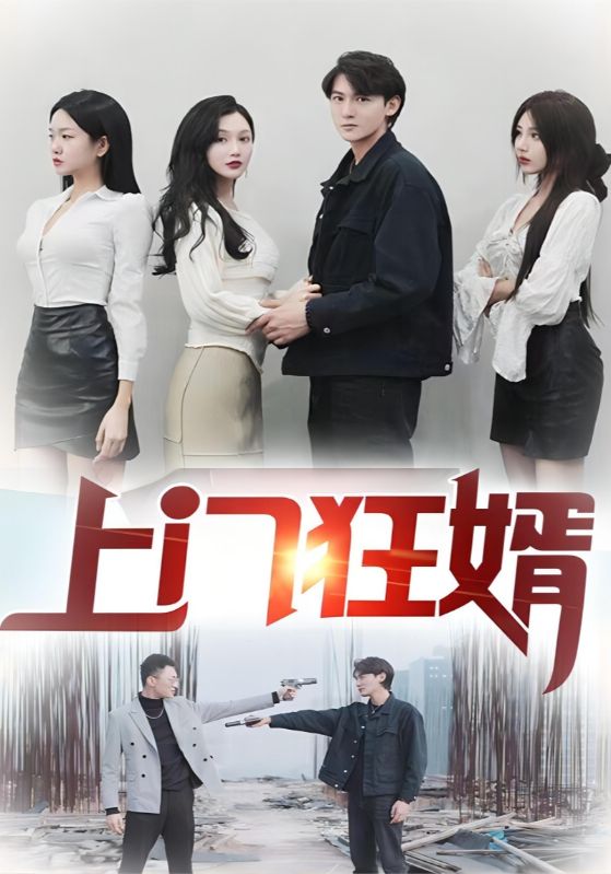 上门狂婿的海报