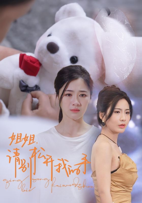 姐姐，请别松开我的手的海报