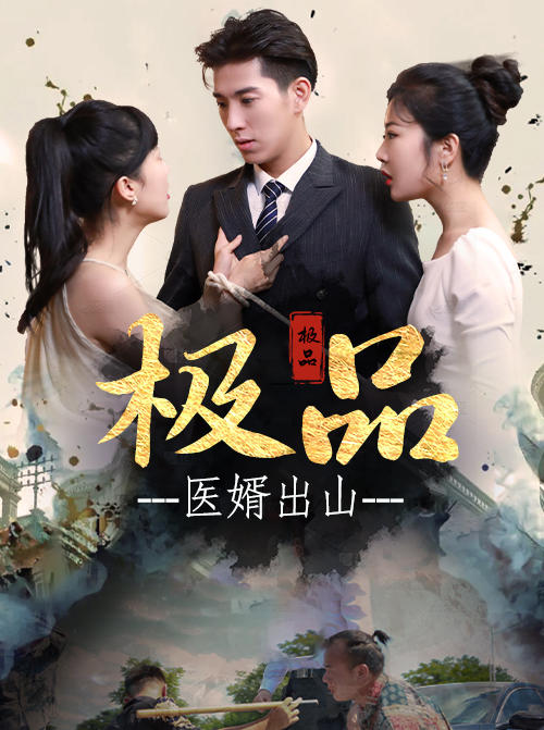 极品医婿出山的海报