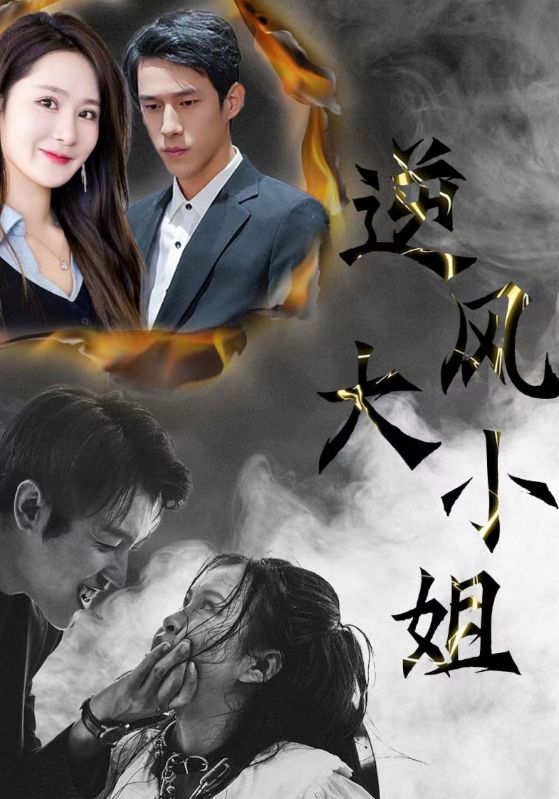 逆风大小姐的海报