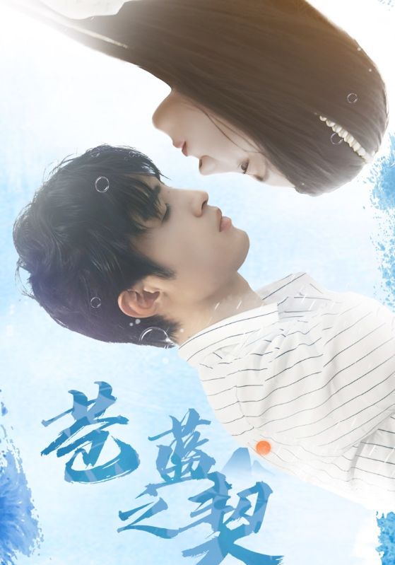 苍蓝之契的海报