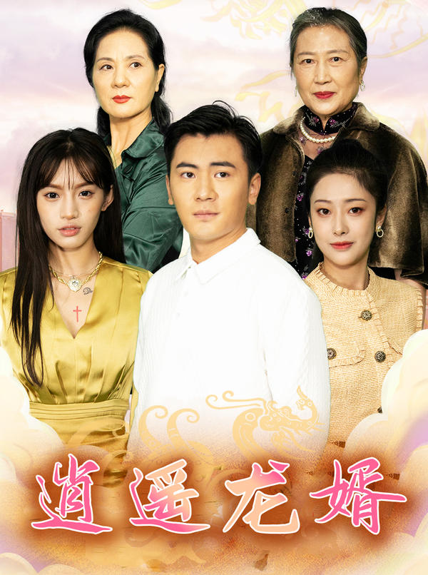 逍遥龙婿的海报