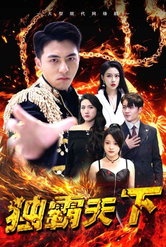 独霸天下的海报