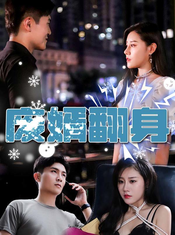 废婿翻身的海报