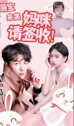 萌宝来袭：妈咪请签收!的海报