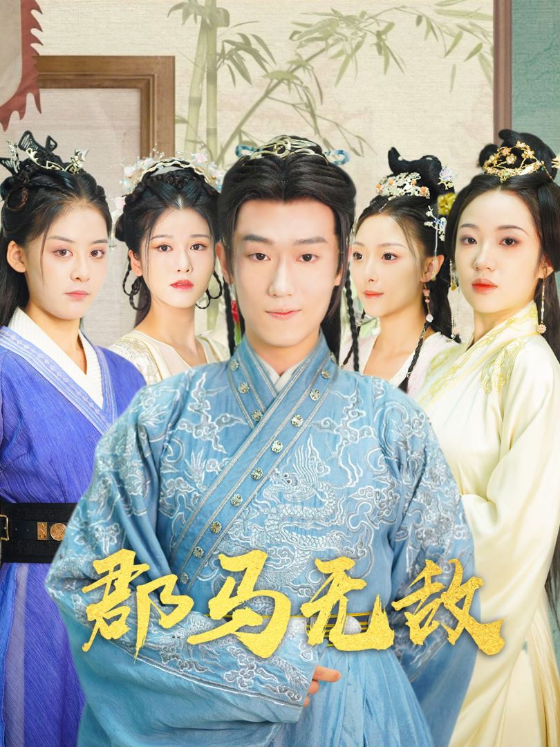 郡马无敌的海报