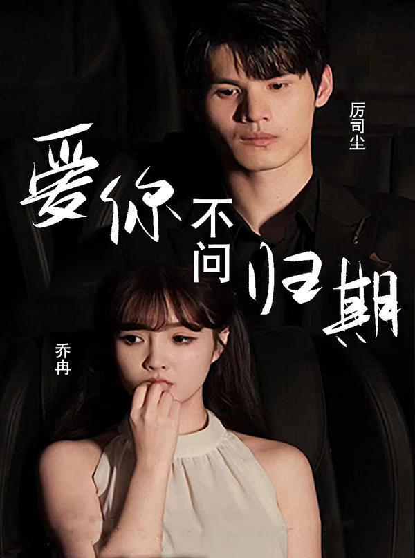 爱你不问归期的海报