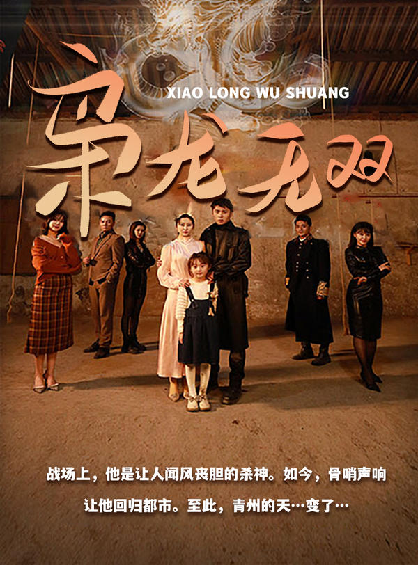 枭龙无双的海报