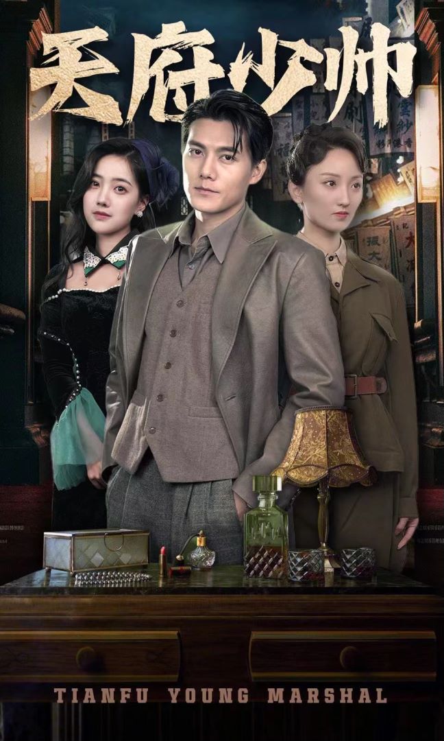 天府少帅的海报