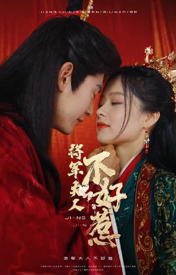 将军夫人不好惹的海报