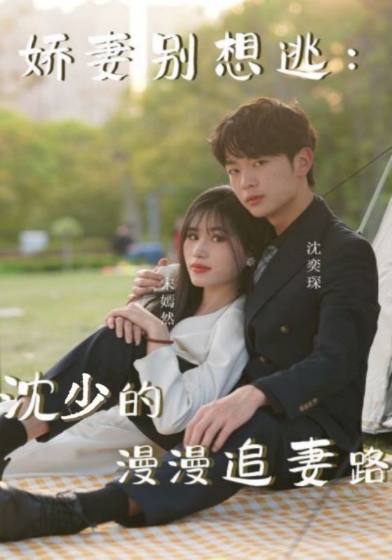 娇妻别想逃：沈少的漫漫追妻路的海报