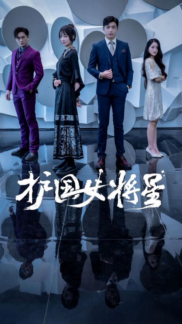 护国女将星的海报