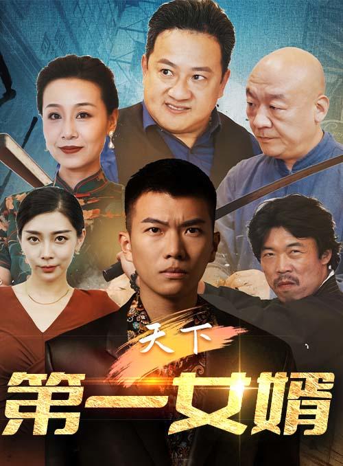 天下第一女婿的海报