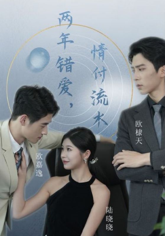两年错爱，情付流水的海报