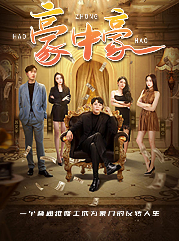 豪中豪的海报