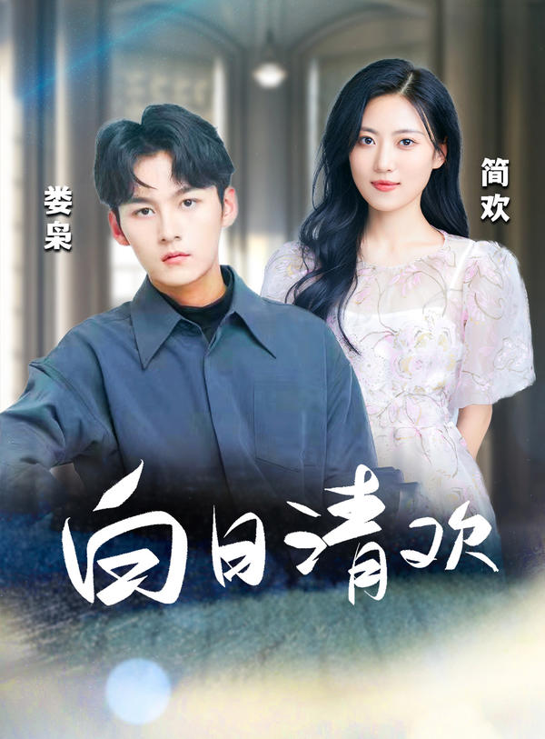 白日清欢的海报