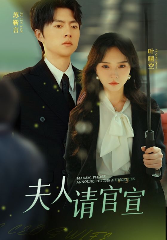 夫人请官宣的海报