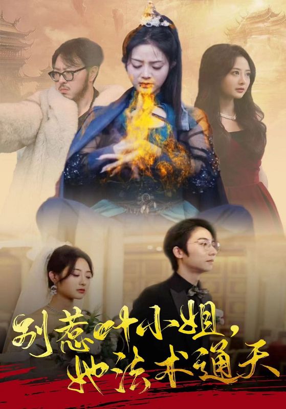 别惹叶小姐她法术通天的海报