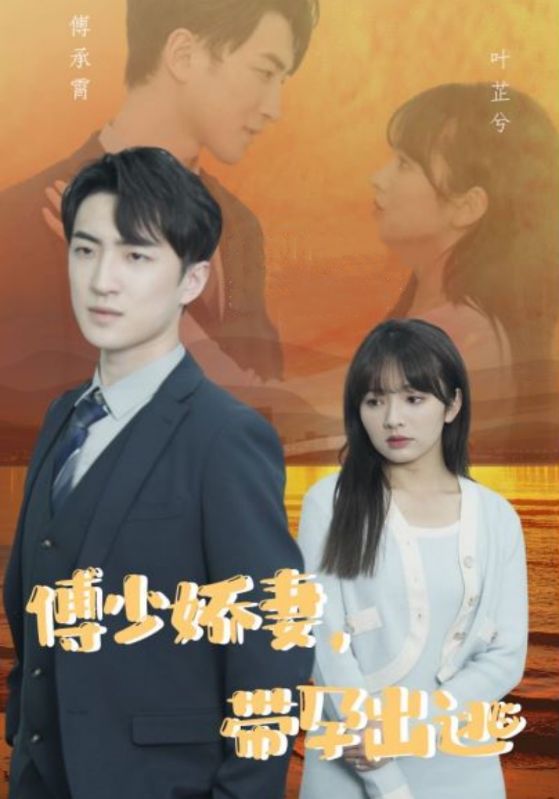 傅少娇妻，带孕出逃的海报