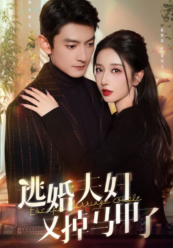 逃婚夫妇又掉马甲了的海报