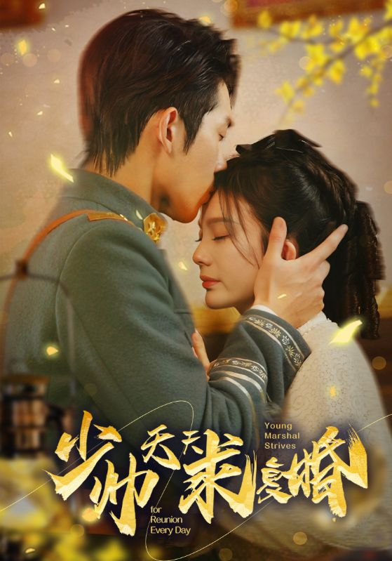 少帅天天求复婚的海报