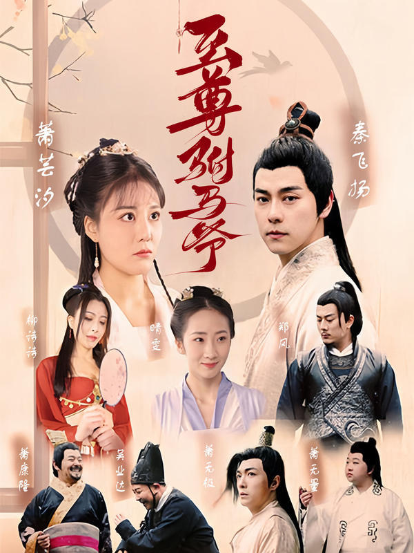 至尊驸马爷的海报