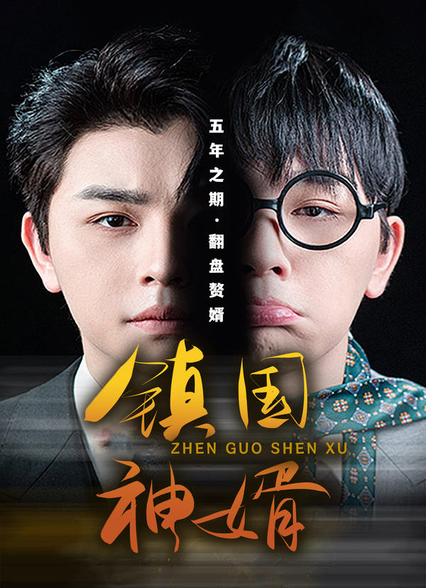 镇国神婿的海报