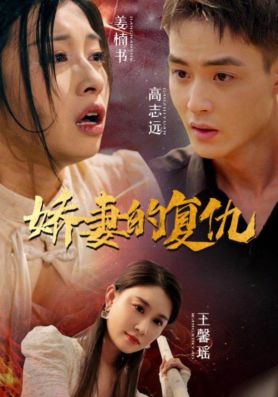 娇妻的复仇的海报