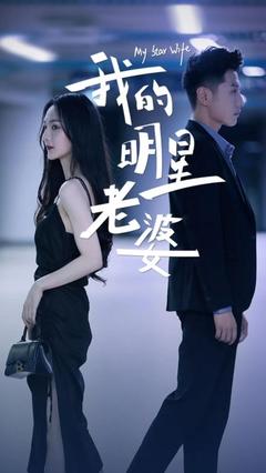 我的明星老婆的海报