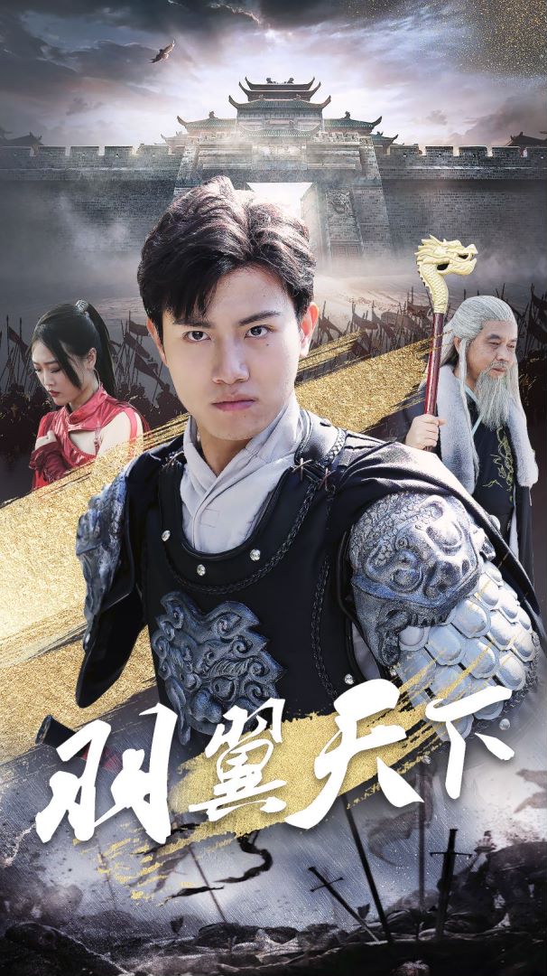 羽翼天下的海报