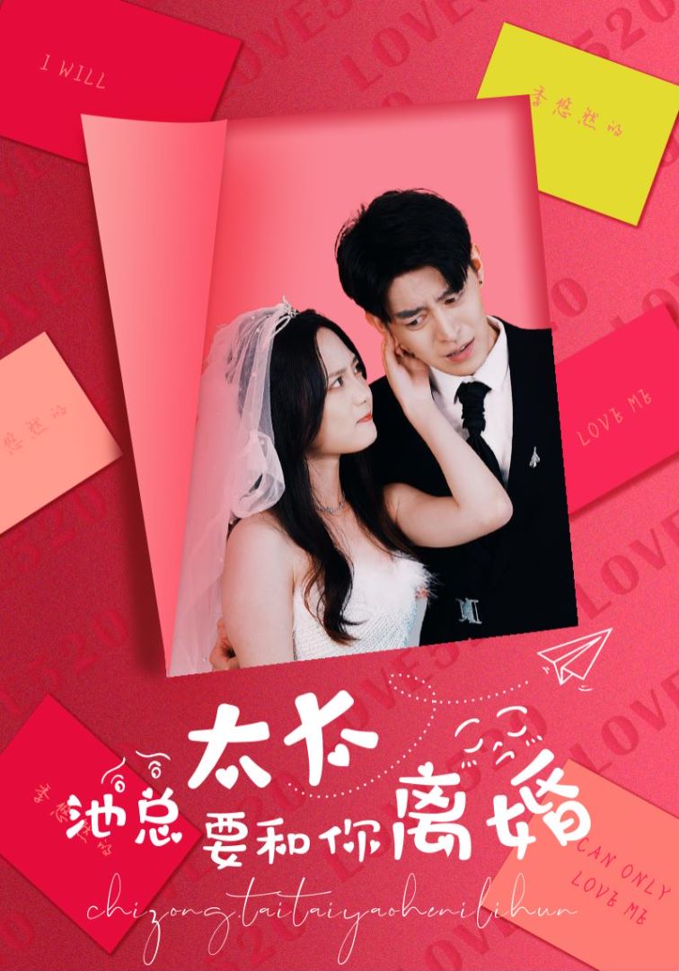 池总太太要和你离婚的海报