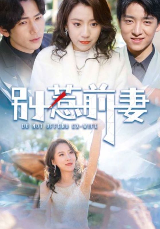 别惹前妻的海报