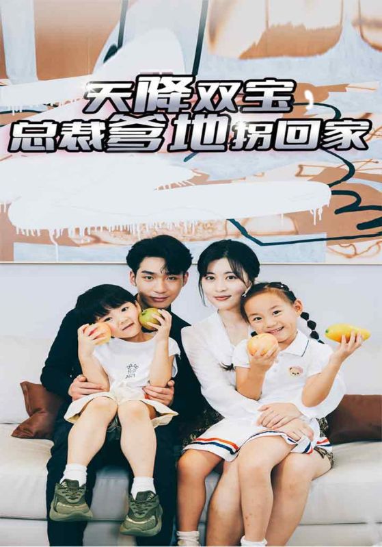 天降双宝，总裁爹地拐回家的海报