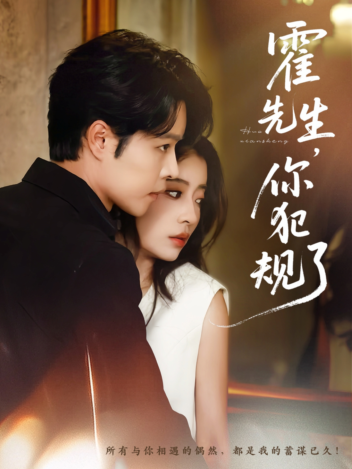 霍先生你犯规了的海报