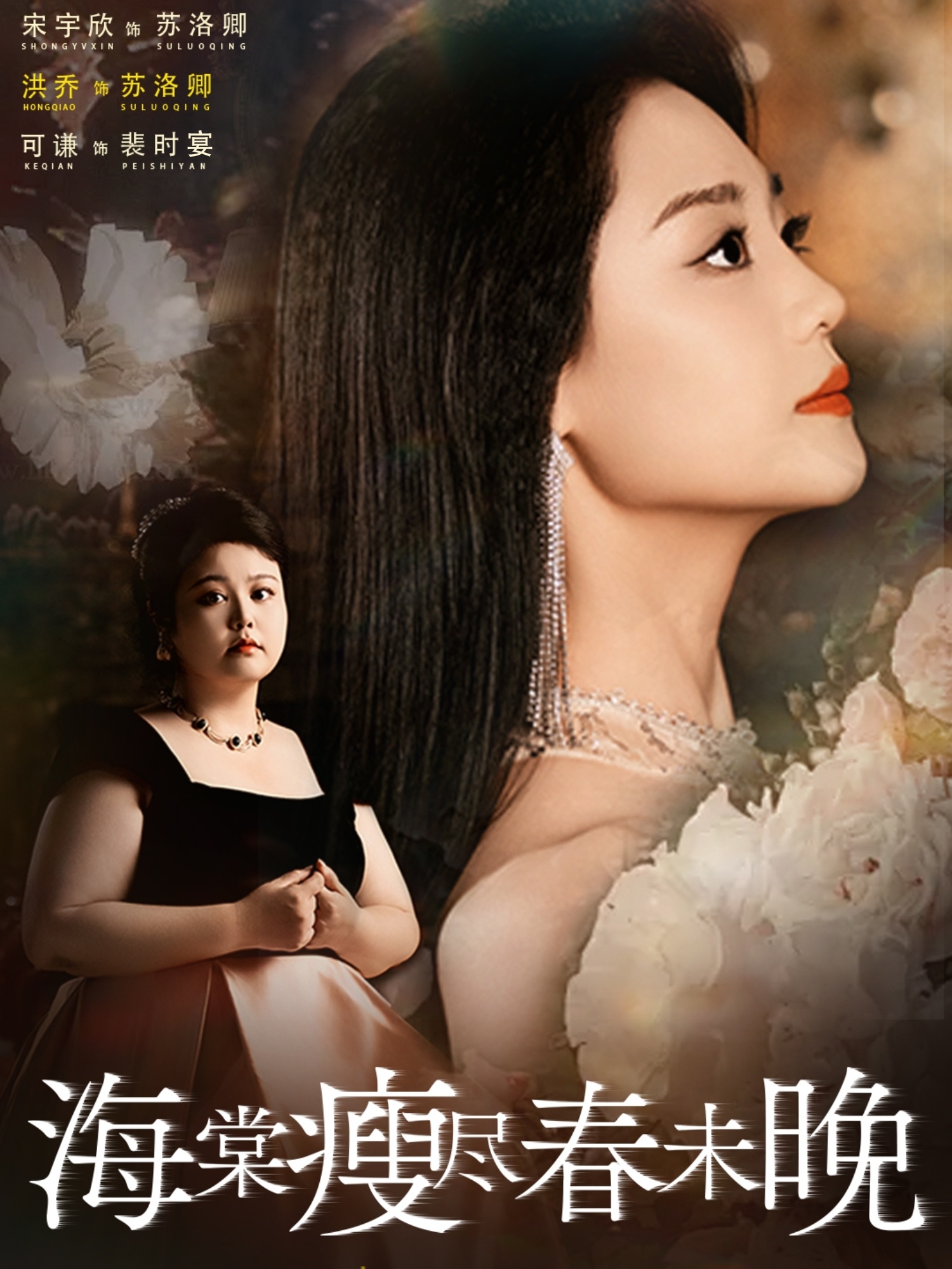 海棠瘦尽春未晚的海报