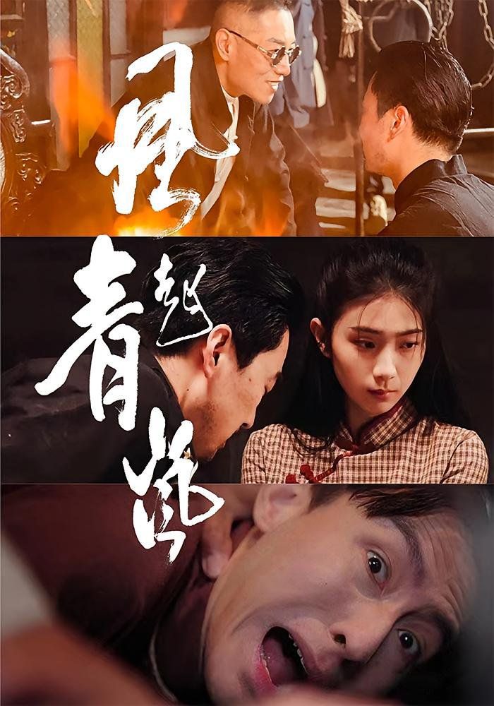 风起青岚的海报