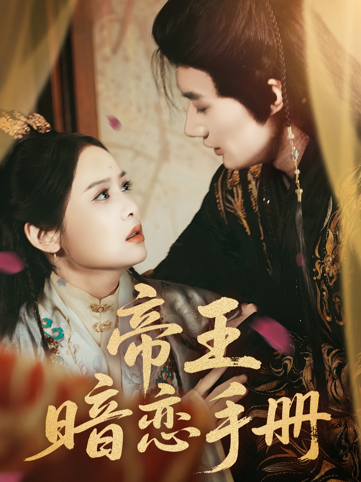 帝王暗恋手册的海报