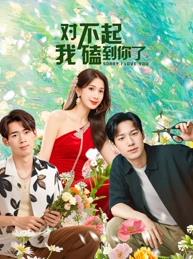 对不起我磕到你了的海报