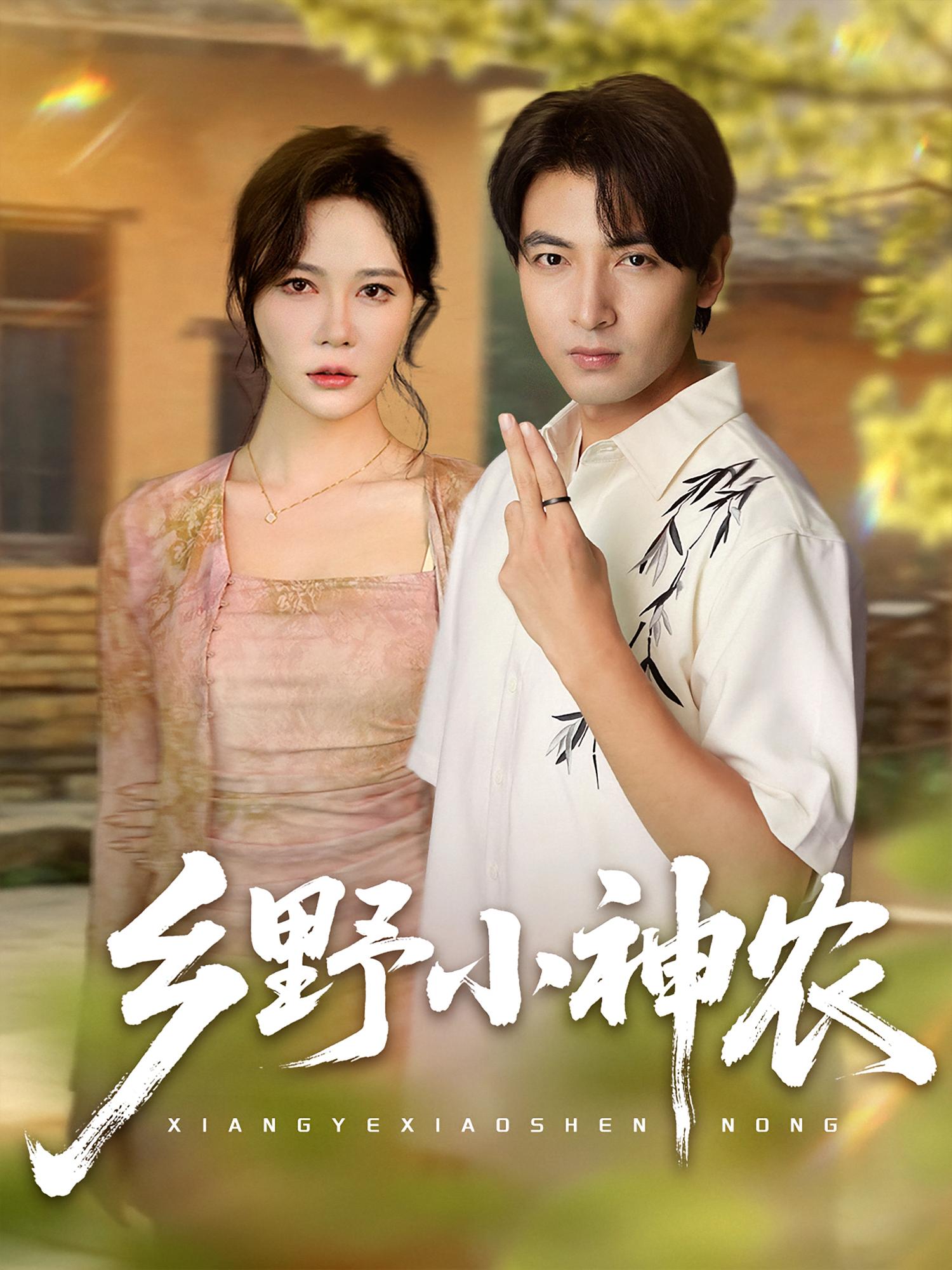 乡野小神农的海报