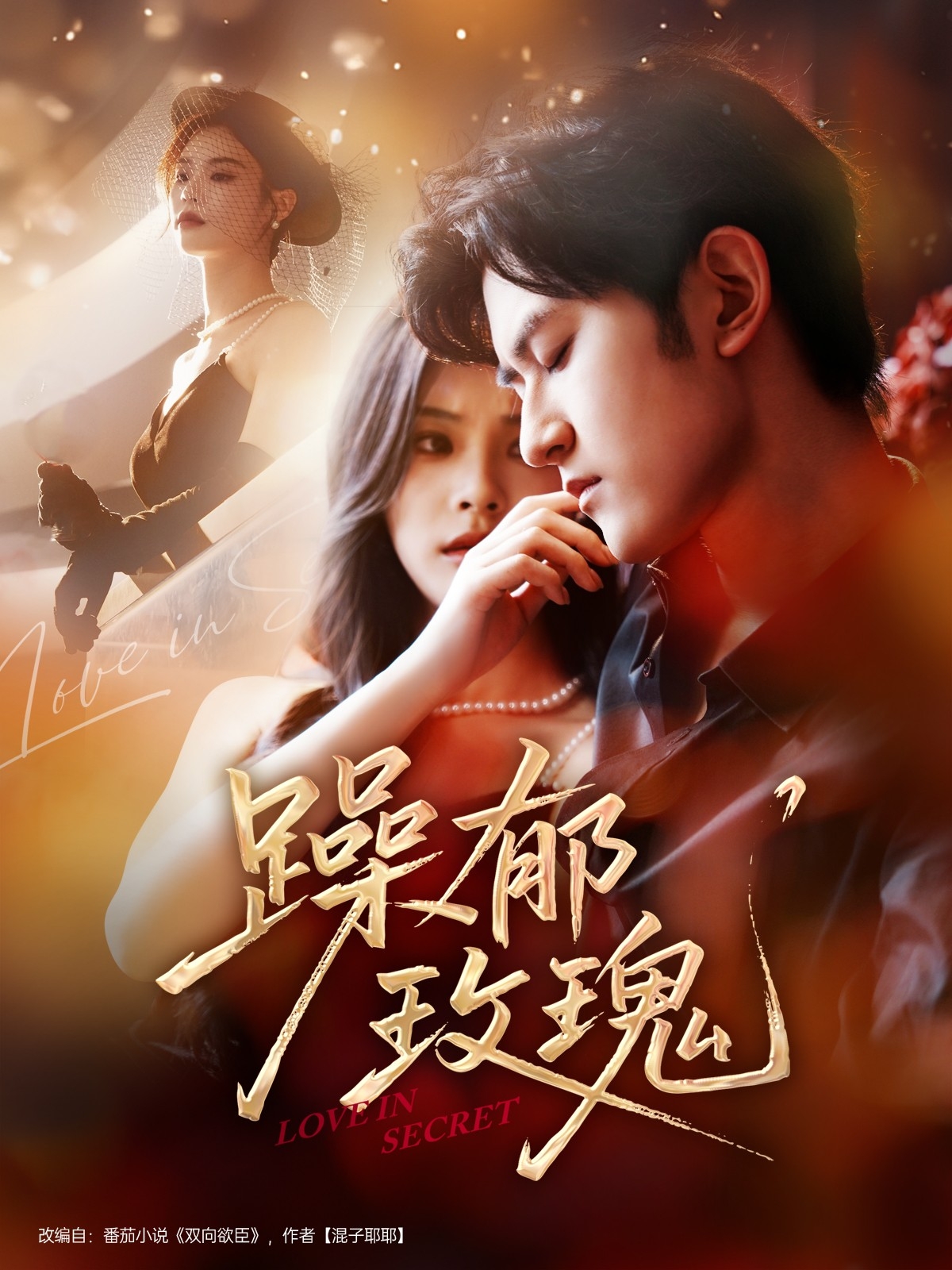 躁郁玫瑰的海报