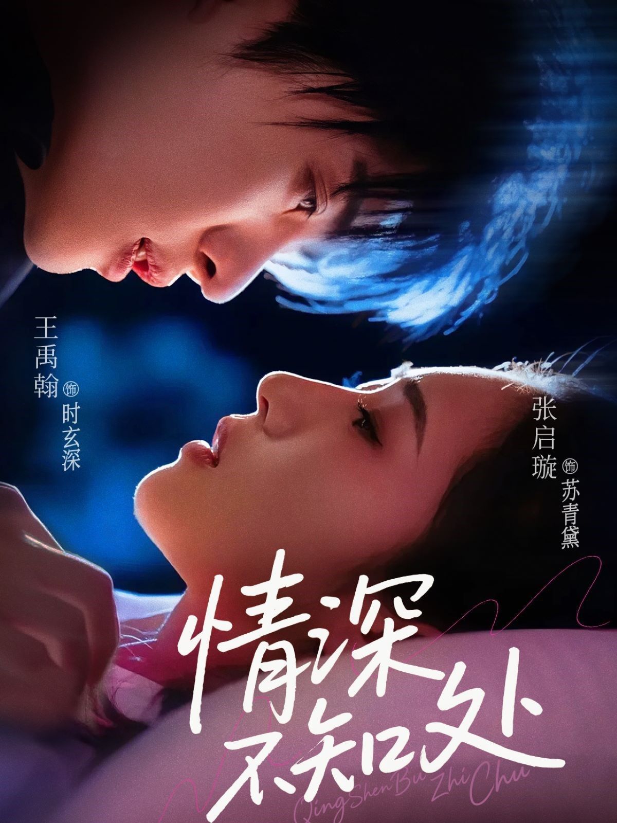 情深不知处的海报