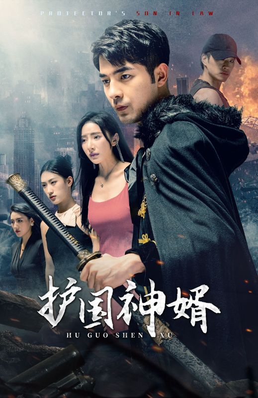 护国神婿的海报