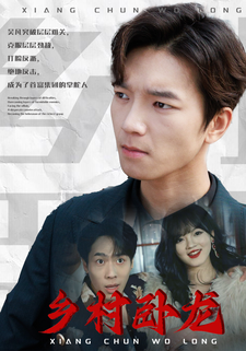 乡村卧龙的海报