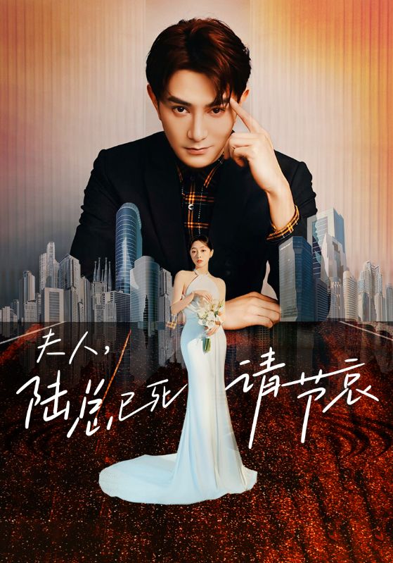 夫人，陆总已死请节哀的海报